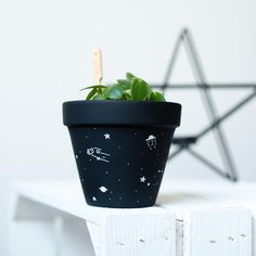 a small potted plant sitting on top of a white shelf next to a star shaped object