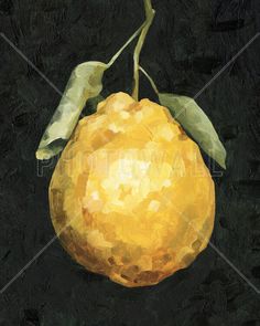 a painting of an orange on a black background