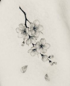 a black and white photo of flowers on the back of a woman's stomach