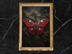 a red butterfly sitting on top of a black marble wall next to a gold frame