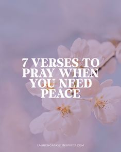 some white flowers with the words 7 verses to pray when you need peace