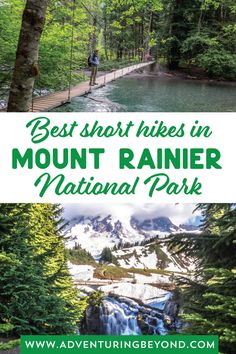 the best hikes in mount rainier national park