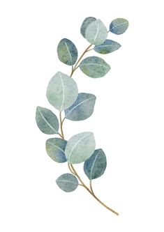 watercolor painting of green leaves on white background