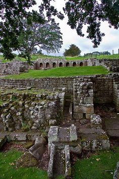 the ruins of an ancient roman city are surrounded by green grass and stone walls, with trees in the foreground