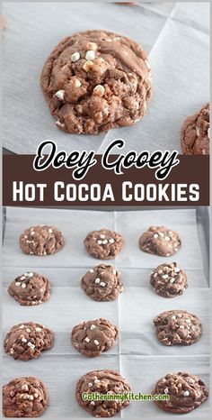 chocolate cookies with white sprinkles on top