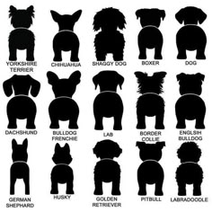 the silhouettes of dogs with their names