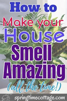 a plant with the words how to make your house smell amazing all the time on it