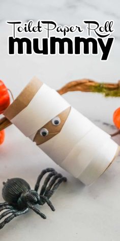 toilet paper roll crafts for kids that are fun and easy to do with the kids