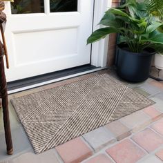 a potted plant sitting on top of a door mat next to a white door