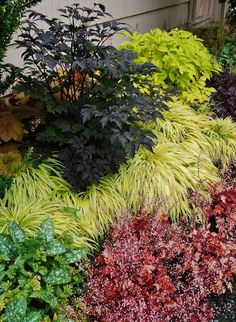 a garden filled with lots of different types of plants