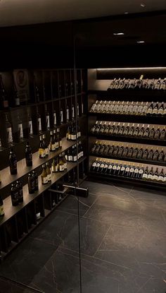 a wine cellar filled with lots of bottles