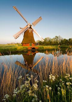 a windmill sitting in the middle of a field next to a body of water with tall grass