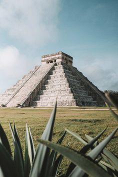 an ancient pyramid in the middle of a field with grass and plants growing around it