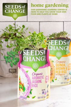 three bags of seed change sitting on top of a counter next to potted plants