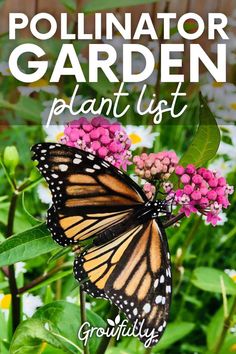 a butterfly sitting on top of a pink flower with the words pollinator garden plant list