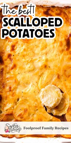 Scalp Potatoes, Scalloped Potatoes Without Cheese, Scalloped Potato Recipe, Cheese Scalloped Potatoes, Potato Casseroles, Homemade Scalloped Potatoes, Scalloped Potatoes Crockpot, Easy Scalloped Potatoes Recipe