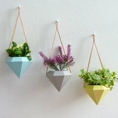 three hanging planters with plants in them