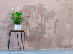 a potted plant sitting on top of a metal stand in front of a wall