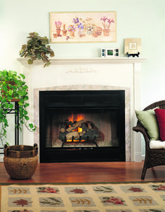 a living room with a fire place in the center and potted plants on the other side