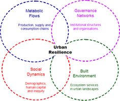 four circles with the words urban resilince, social dynamics and human capital in them