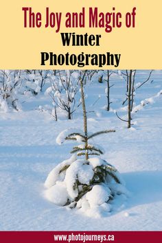 the joy and magic of winter photography with text overlaying it that reads, the joy and magic of winter photography