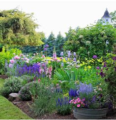 a garden filled with lots of different types of flowers