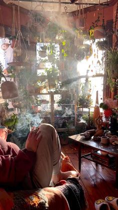 a person sitting on a couch in a room filled with potted plants