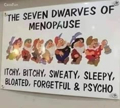 7 Dwarfs, Funny Thoughts, Seven Dwarfs