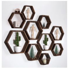 several hexagonal shelves with small plants and decorations on them, arranged in the shape of hexagons