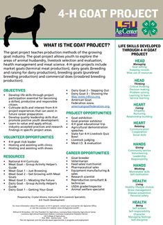 the 4 - h goat project flyer