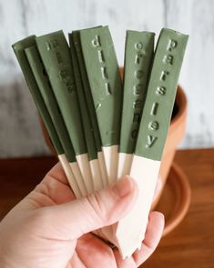 a hand holding five green and white matchsticks