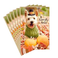 there is a card with a small dog wearing a sweater and hat on it, surrounded by fall leaves