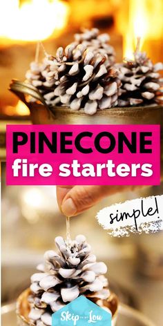 pinecone fire starter recipe in a bowl with text overlay that reads, pine cone fire starter simple step - by - step instructions