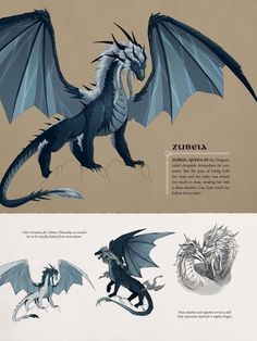 an image of some sort of dragon with wings and tail, in different stages of flight