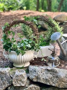 a potted plant sitting on top of a stone wall next to a watering can