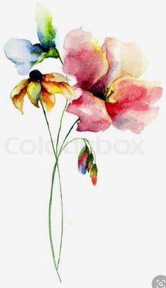 watercolor painting of flowers on white background