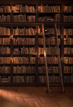 a ladder leaning up against a bookshelf filled with lots of books in a library