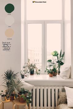 there are many houseplants in the window sill and on the table is a bench