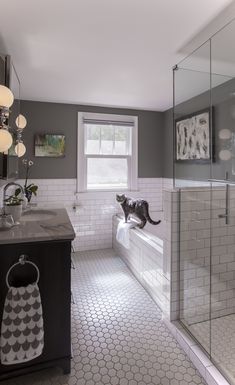 a black and white cat sitting on the edge of a bathtub in a bathroom