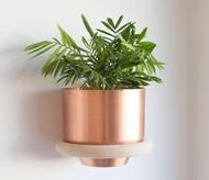 a potted plant is hanging on the wall