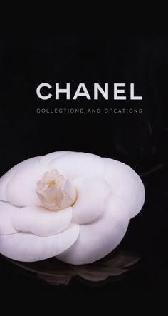 Tom Ford Book, Camelia Chanel, Chanel Book, Megan Hess, Mario Testino, Peter Lindbergh, Annie Leibovitz, Chanel Collection