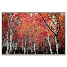 a painting of trees with red leaves in the background