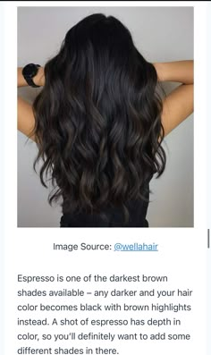 Dark Brown Black Balayage Hair, Black Dark Brown Balayage, Cool Black Brown Hair, Chestnut Black Hair, Super Dark Hair Color Ideas, Medium Brown Highlights On Black Hair, Dark Hair With Dark Brown Highlights, Dark Brown Hair With Ashy Lowlights, Black Brunette Balayage Hair