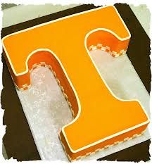 an orange and white cake with the letter t on it