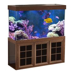 an aquarium with fish and corals in it on top of a wooden shelf next to a window