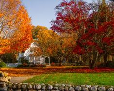 the house is surrounded by colorful trees and leaves on the ground in front of it