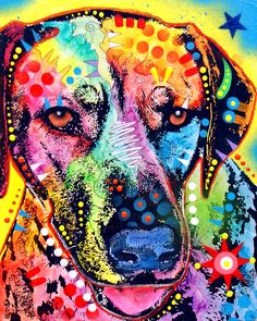 a painting of a dog with stars on it's face and colorful colors in the background