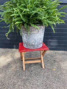 a potted plant sitting on top of a wooden stool