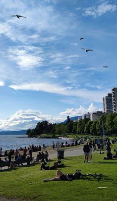 many people are sitting on the grass by the water and flying kites in the sky