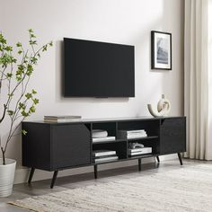 a living room with a large television on the wall and a plant in front of it